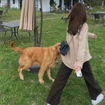 我和我的小黑豹