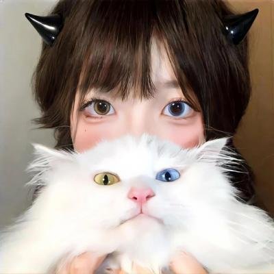 囧探查过界粤语